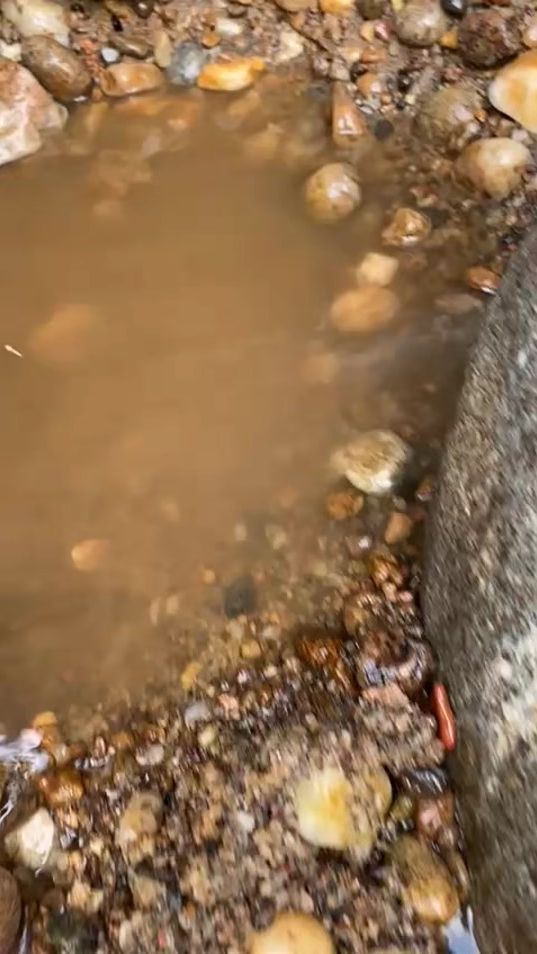 TikTok video thumbnail by jayamal9