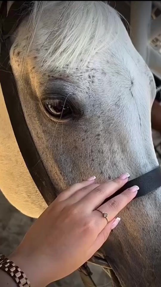 TikTok video thumbnail by user.9.6_