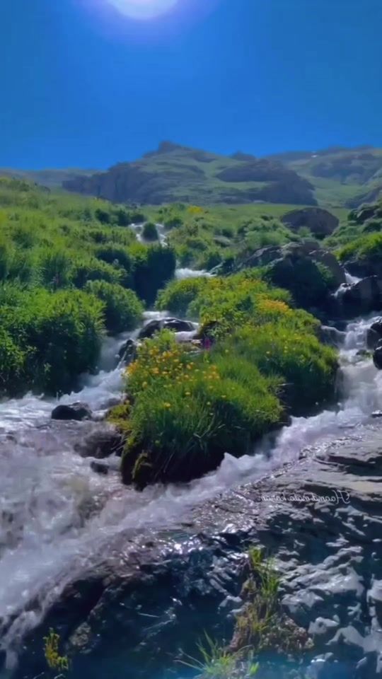 TikTok video thumbnail by s_o_f_i_68