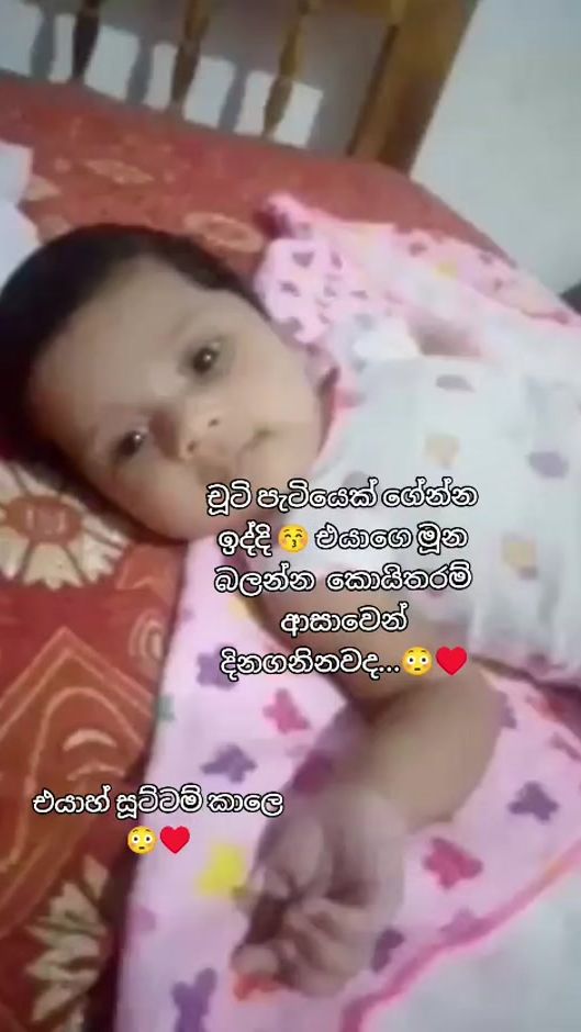 TikTok video thumbnail by anu0378