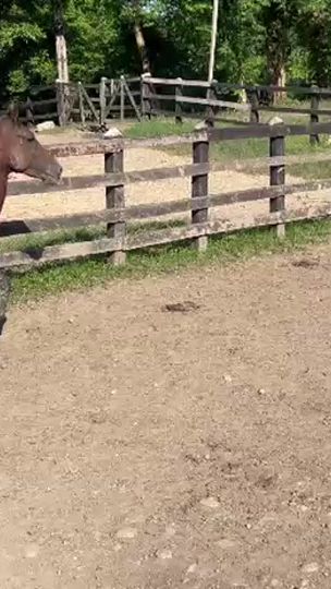 TikTok video thumbnail by robinsonciroaceve