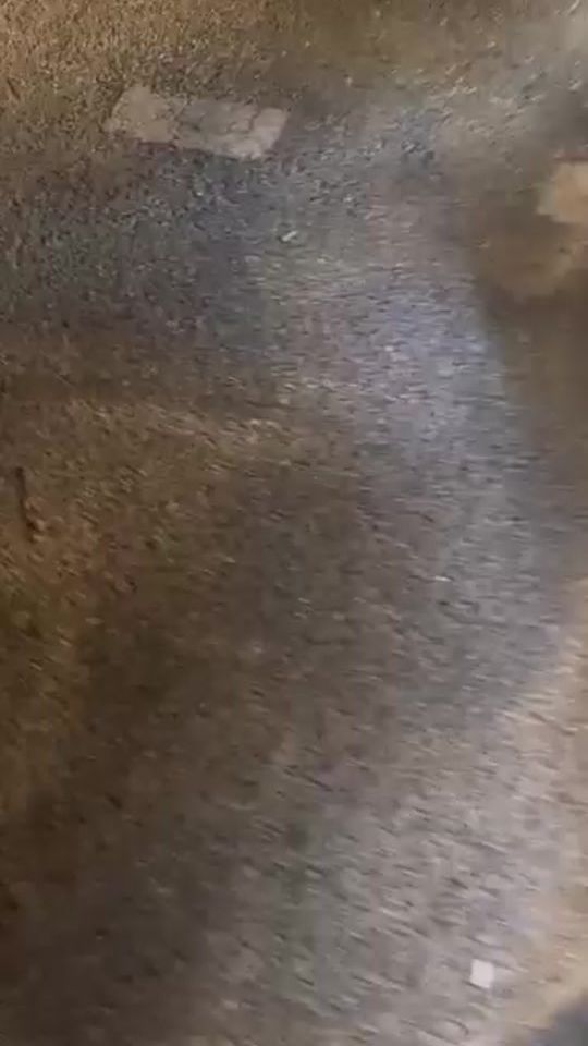 TikTok video thumbnail by colicoli91