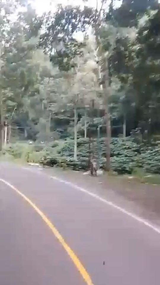 TikTok video thumbnail by rindianigenteng