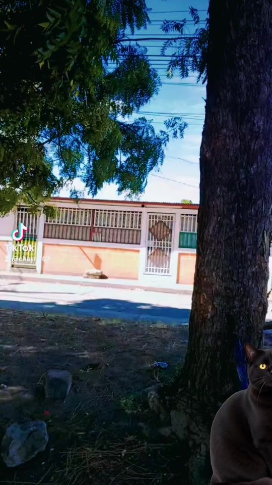 TikTok video thumbnail by chaymi62