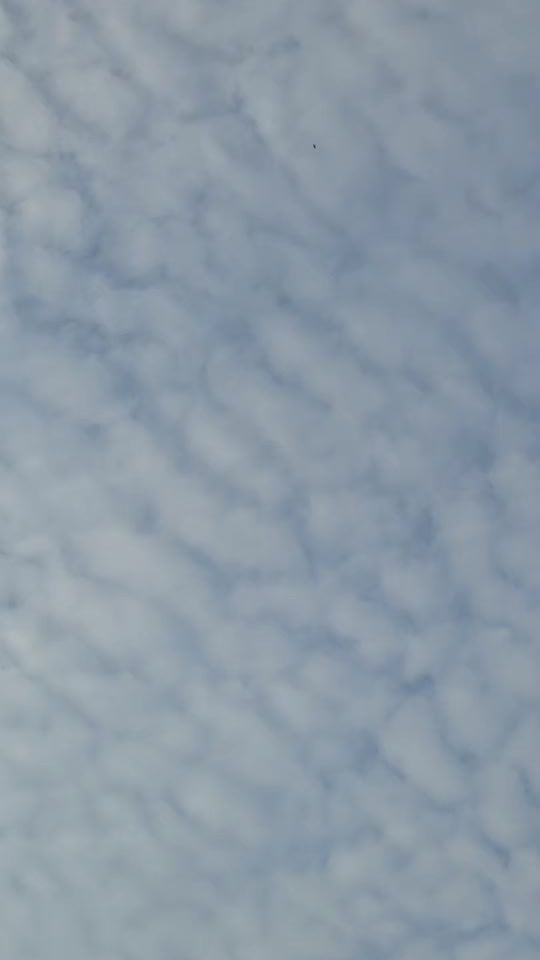 TikTok video thumbnail by umut.agro