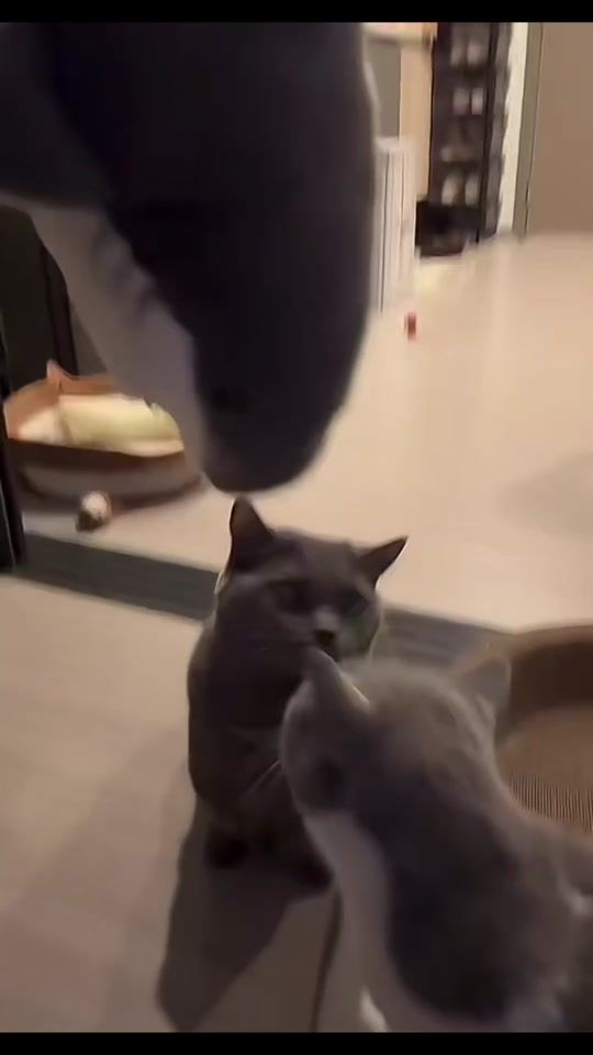 TikTok video thumbnail by meenababe