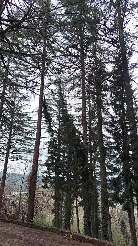 TikTok video thumbnail by tikkotekk28