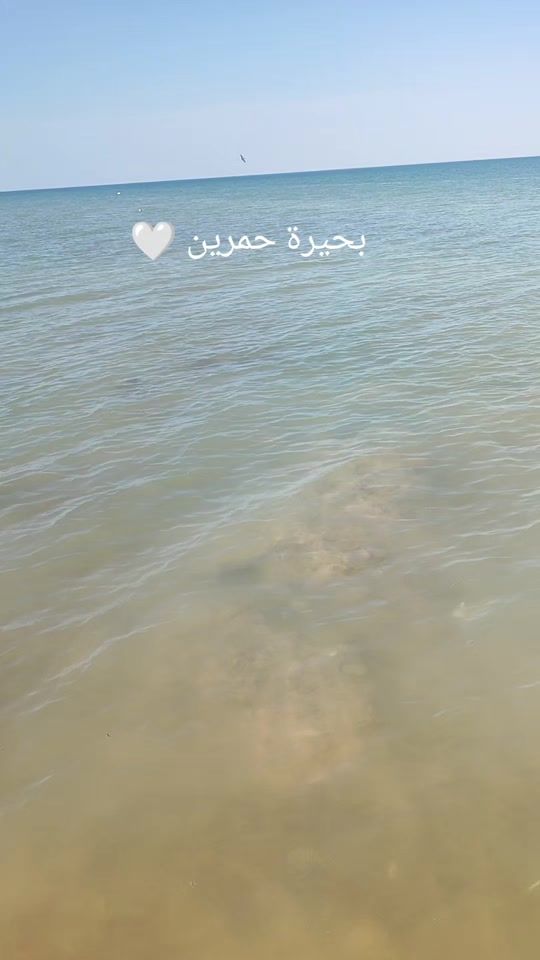 TikTok video thumbnail by _f0io