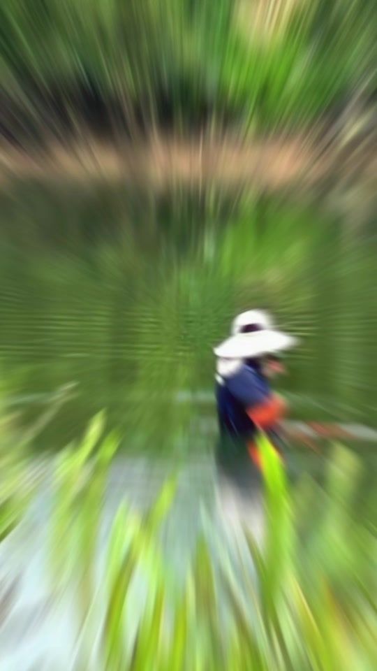 TikTok video thumbnail by kam_panart