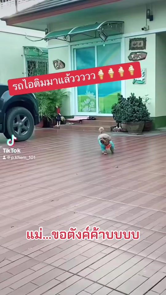 TikTok video thumbnail by p.khem_101