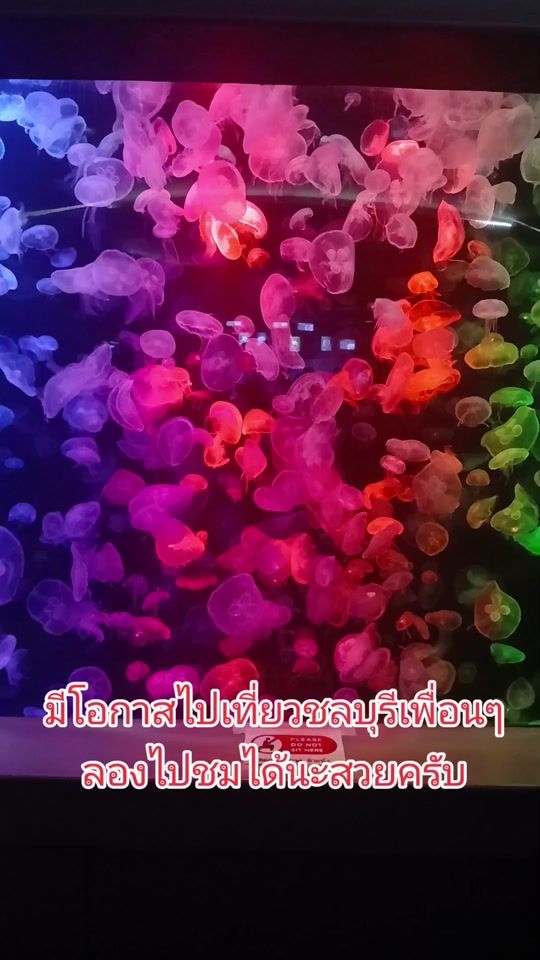 TikTok video thumbnail by natthaphol156
