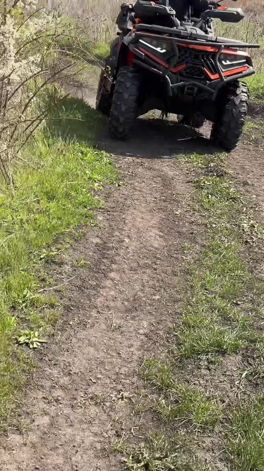 TikTok video thumbnail by barbuta_