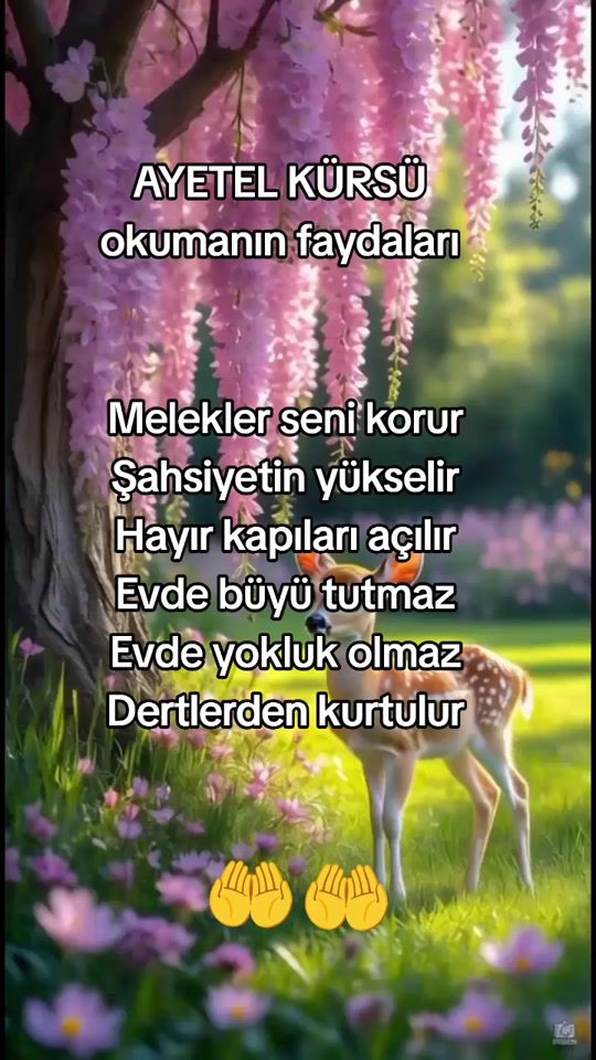 TikTok video thumbnail by 84papatya91