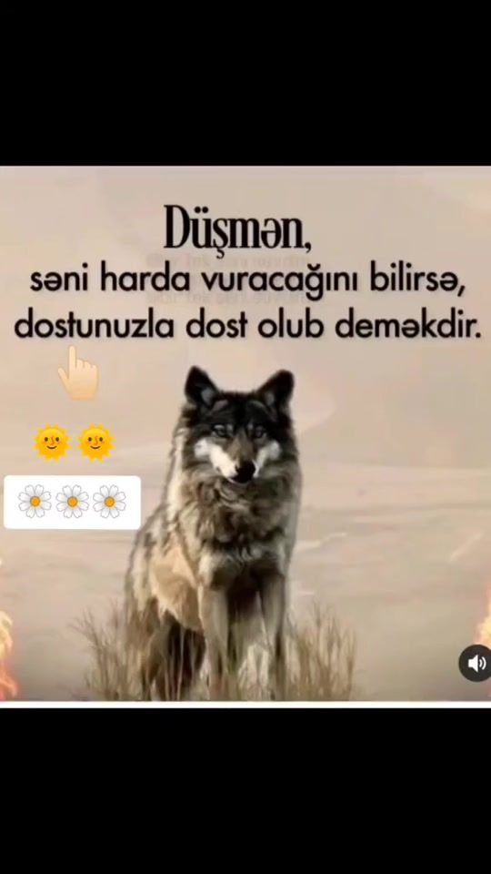 TikTok video thumbnail by elhamdulilallah