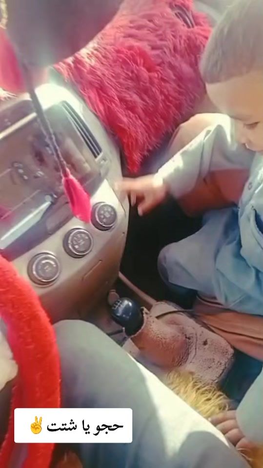 TikTok video thumbnail by wad_almalh_911