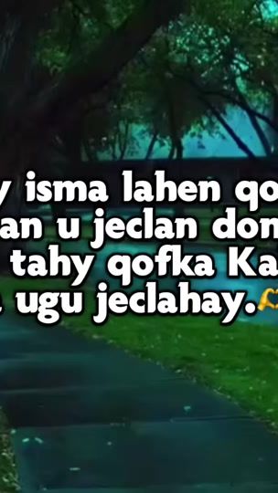 TikTok video thumbnail by writer_ahmett