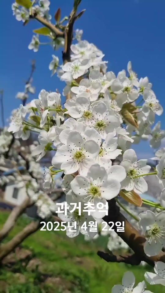 TikTok video thumbnail by old.boy380