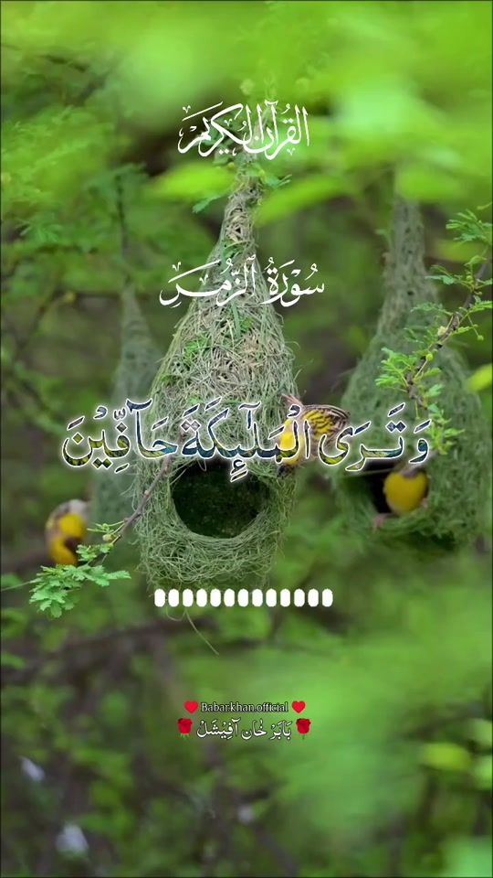 TikTok video thumbnail by babarkhanislamic