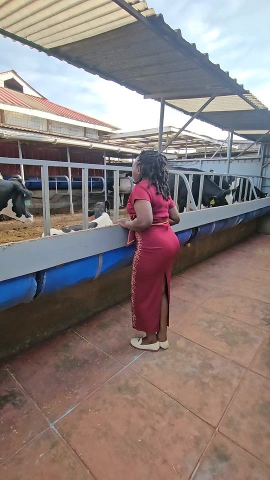 TikTok video thumbnail by tamara_farm
