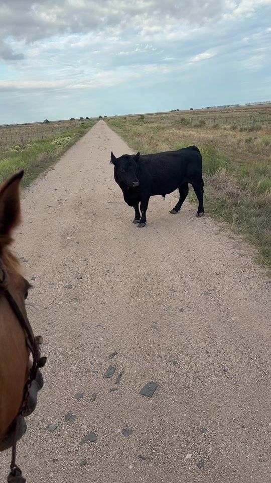 TikTok video thumbnail by damiansilvera4