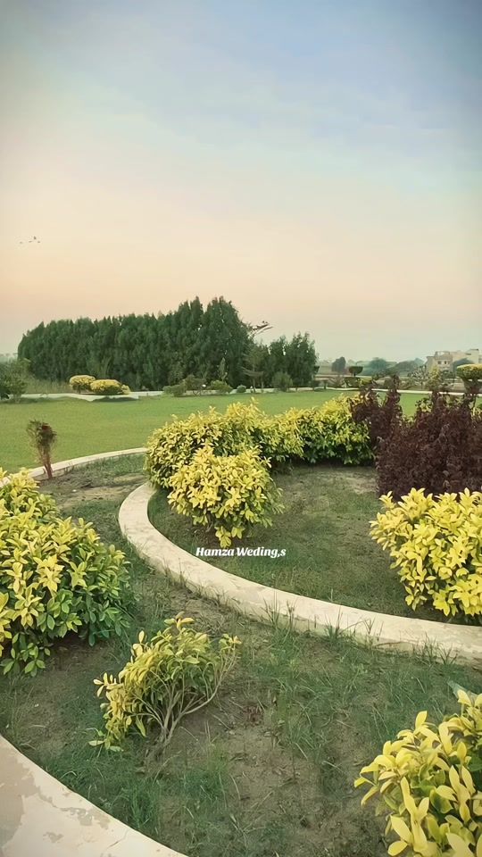 TikTok video thumbnail by hamzawedings