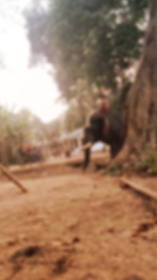 TikTok video thumbnail by kyaw.ye.aung698