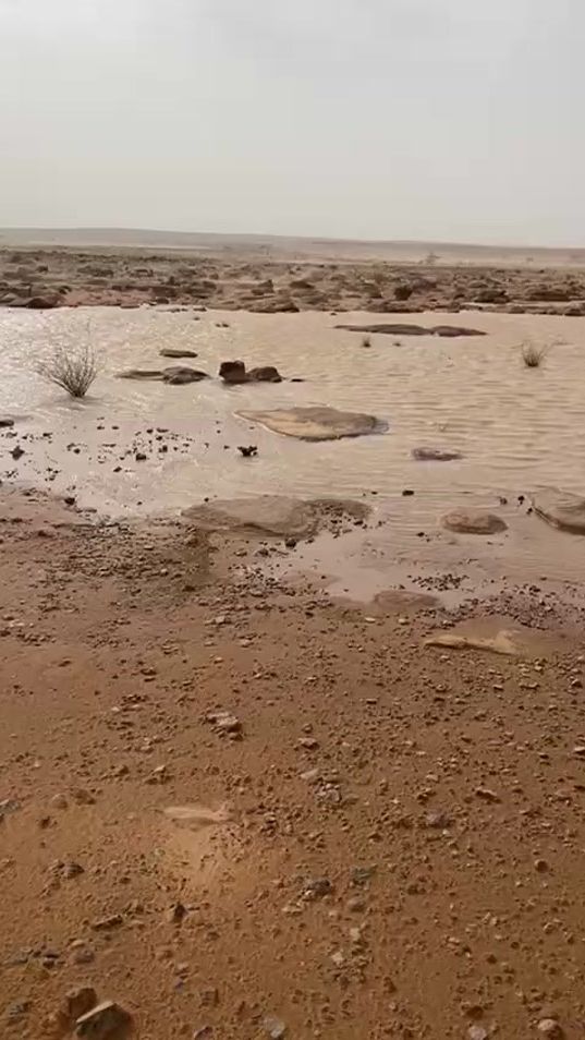 TikTok video thumbnail by adel_etbiga