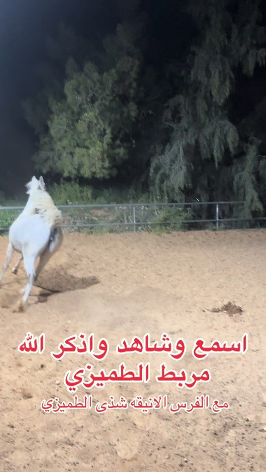 TikTok video thumbnail by nashat_tomazy