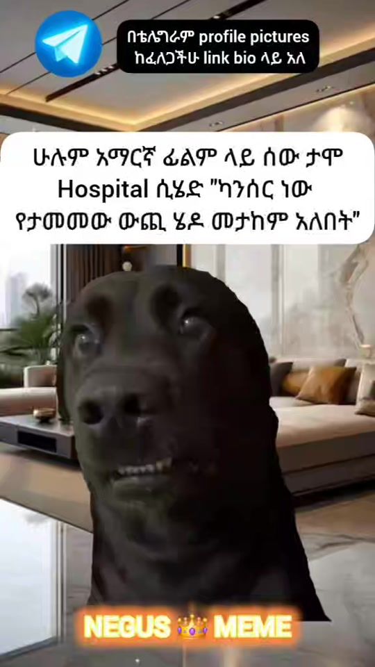 TikTok video thumbnail by negus_meme