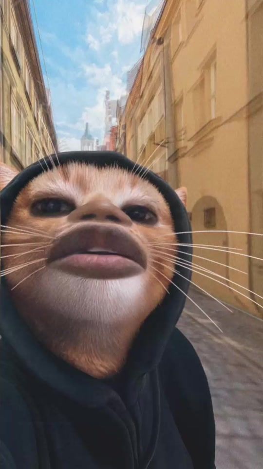 TikTok video thumbnail by nimcocity0