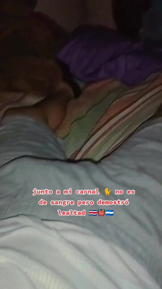 TikTok video thumbnail by josemoreno2026