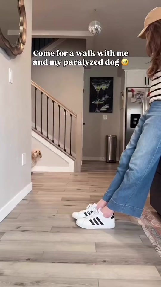 TikTok video thumbnail by catlovex