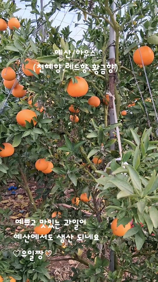 TikTok video thumbnail by jeon.jeong.ae