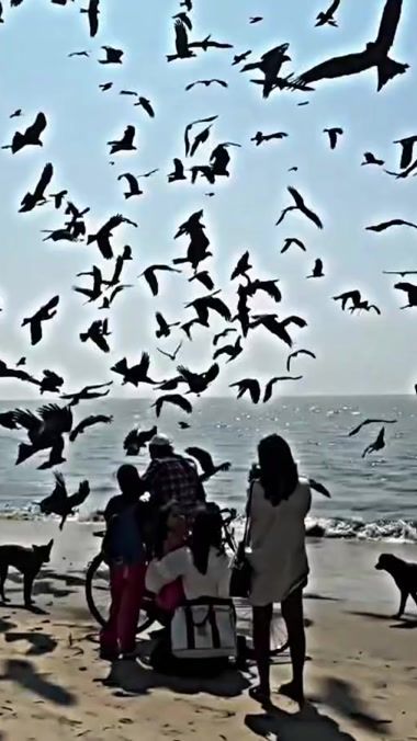TikTok video thumbnail by laxshanvrmass