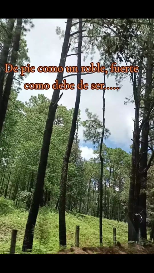 TikTok video thumbnail by yeiyei2030