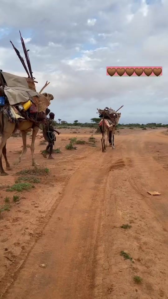 TikTok video thumbnail by bintiahmed54