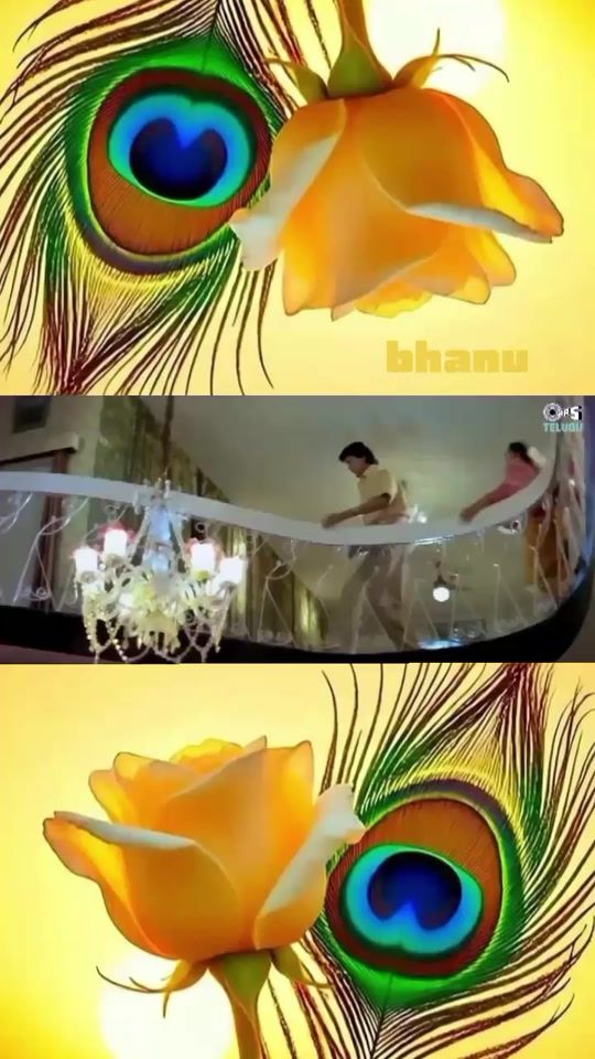 TikTok video thumbnail by user.ammayi