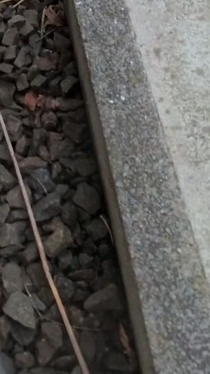 TikTok video thumbnail by rumitree