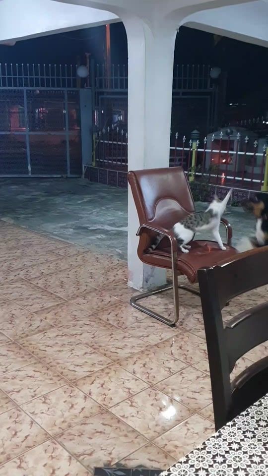TikTok video thumbnail by sumankumar7165