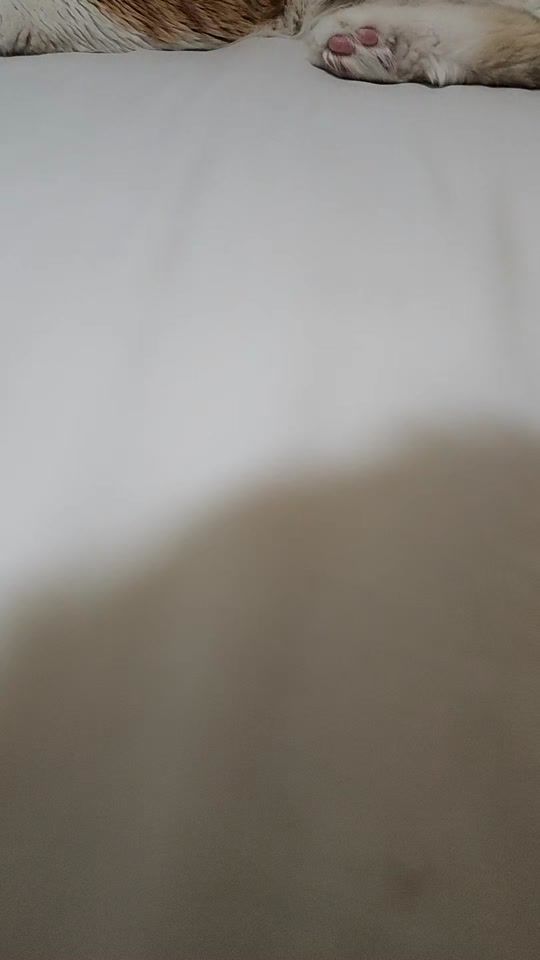 TikTok video thumbnail by kahvekitapben