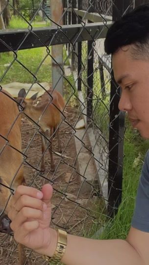 TikTok video thumbnail by roemroza168