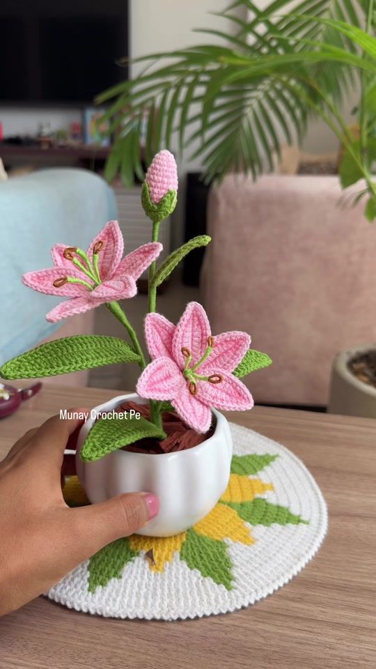TikTok video thumbnail by munaycrochetpe