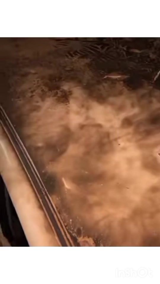 TikTok video thumbnail by chamodfanpage