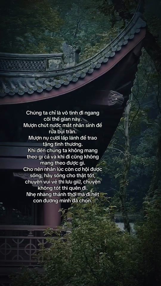 TikTok video thumbnail by tientutap.phatphap