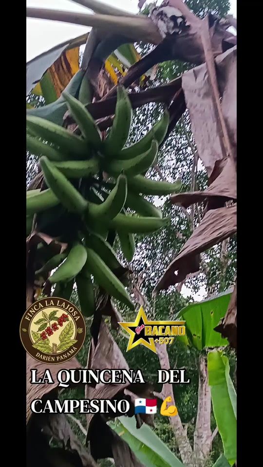 TikTok video thumbnail by bacano.507