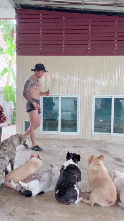 TikTok video thumbnail by chanawuit