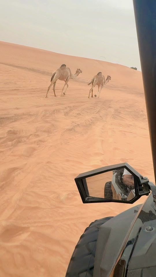 TikTok video thumbnail by sanadalmoreb