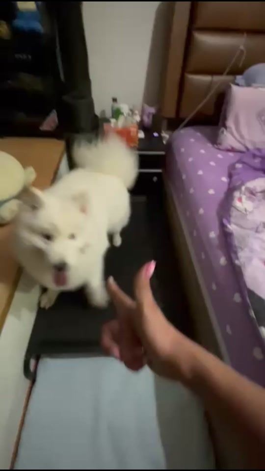 TikTok video thumbnail by glinnn18