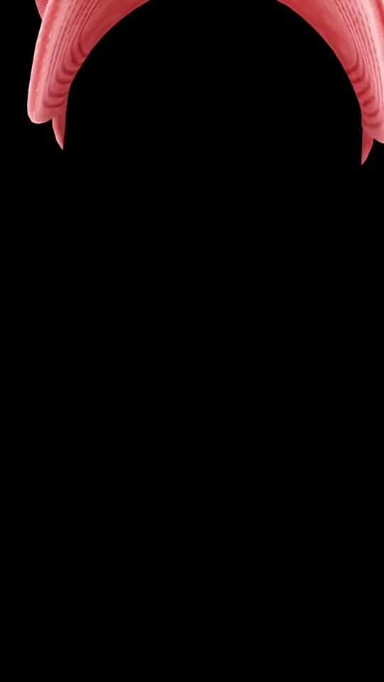 TikTok video thumbnail by bintouboi