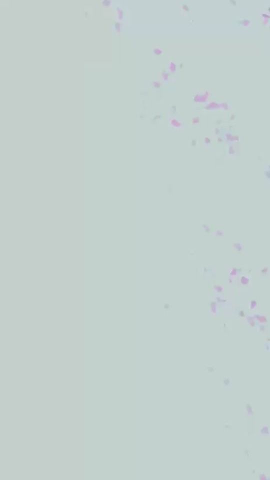 TikTok video thumbnail by fatty776